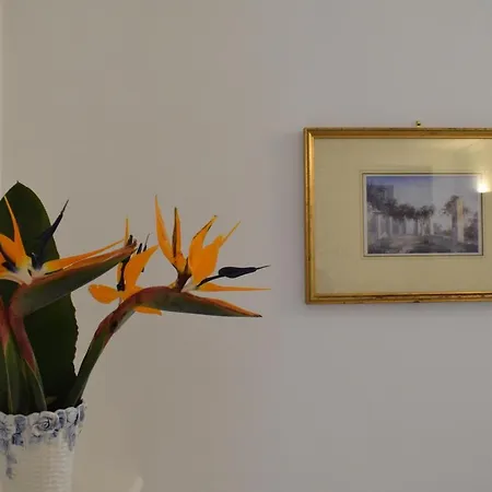 Il Cellaio Di Tiberio Appartement